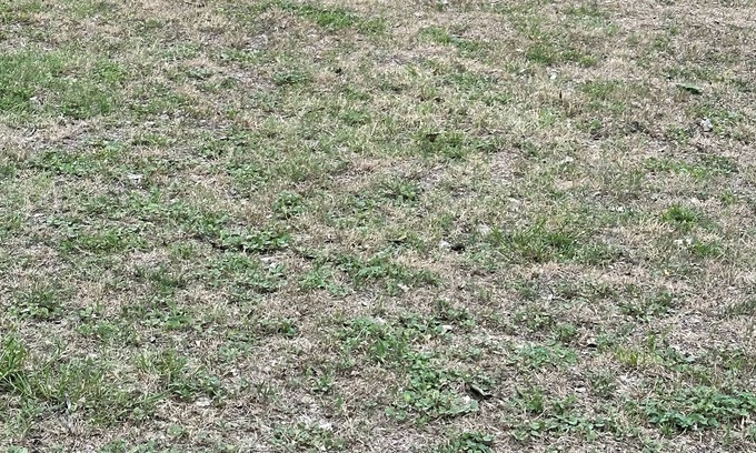 Dennis Cabin | Cabin on the Brazos w/2 50 amp covered Rv spaces.