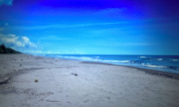 Tortuguero Cabin | Cabinas Miss Miriam