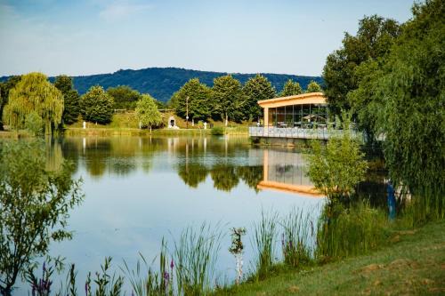 Ineu Hotel | Camelot Resort