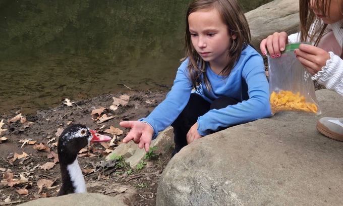 Water Valley RV Rental | campground,fishing pond/farm petting and feeding, bright stars/fruit trees fire