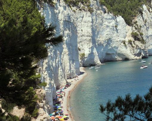 Mattinata Apartment | Camping Apartment Vignanotica