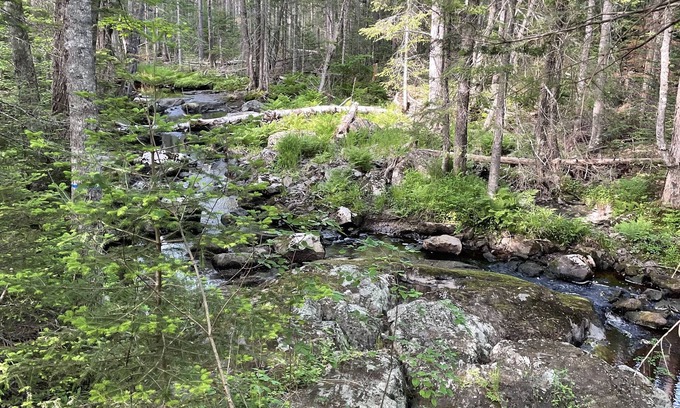 Milbridge Cabin | Camping at the Ice-Shack