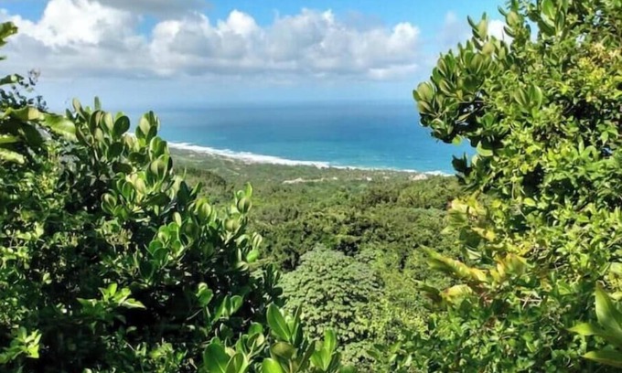Newcastle RV Rental | Camping Barbados - Bring Your Own Tent - Groups 2