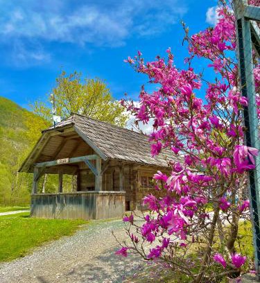 Bohinjska Bistrica House | Camping Danica Cottage Stan