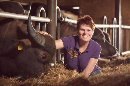 Oldemarkt Other | Camping De Waterbuffelfarm