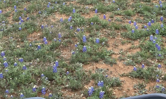 Llano RV Rental | Camping! Solar eclipse! Bring your tent! Llano TX