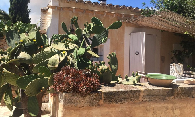 Es Cap de Barbaria House | Can Joseph II