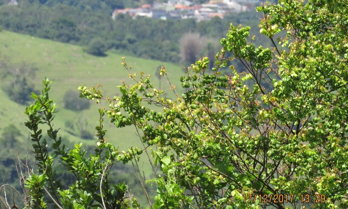 Nazare Paulista House | Canceled ad