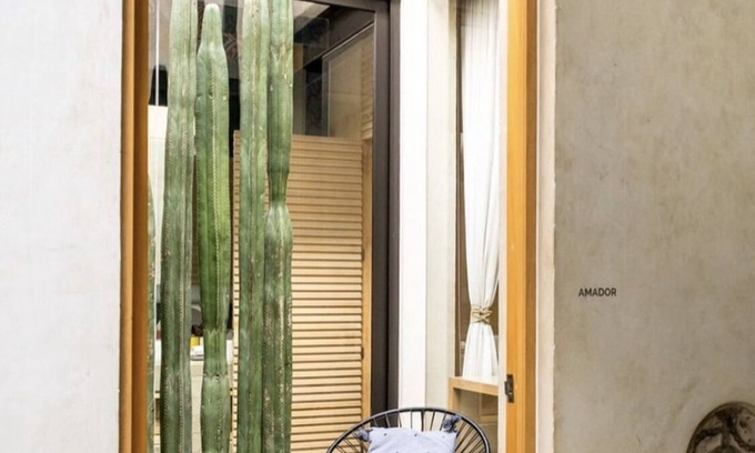 Ruta Independencia House | Casa Carmen Reforma