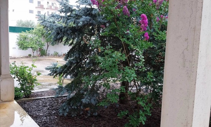 Fatima House | Casa com ALma