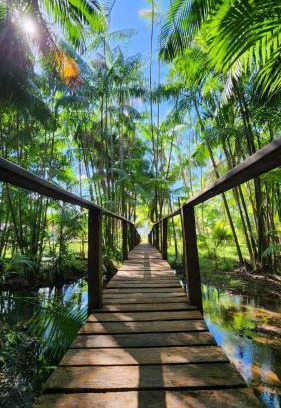 Salvaterra Cabin | Casa da Mata Marajó