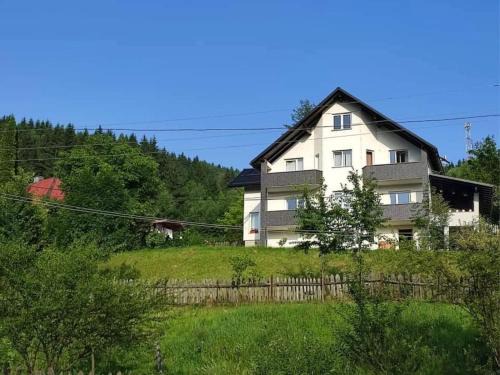 Borsa Villa | Casa Danci Centru