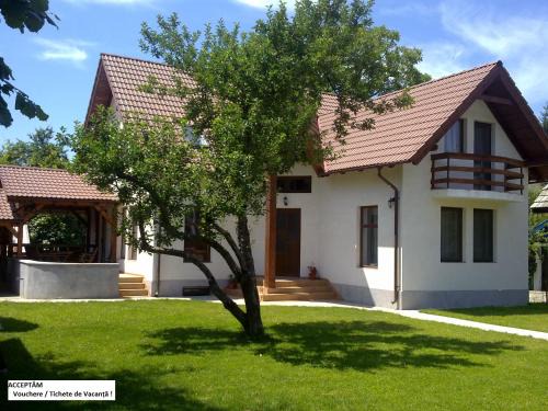 Covasna House | Casa Dancs