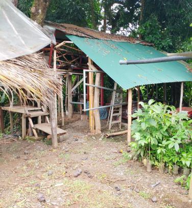 Pacuare Reserve Other | Casa de árbol familiosa