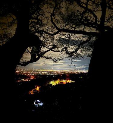 Garabito Other | Casa del Arbol Feel Good