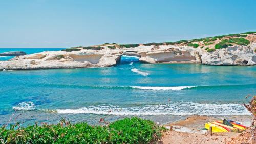 Narbolia House | Casa Dolly