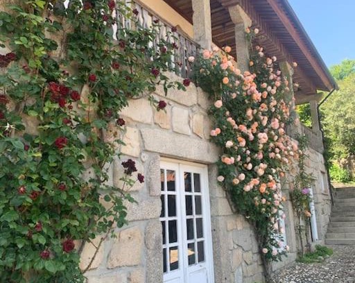 Santo Tirso Villa | Casa dos três rapazes