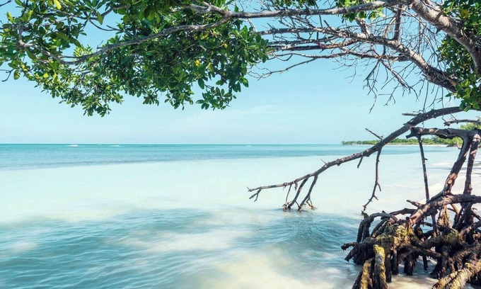 Vinales House | Casa El Musico Jorge y Betty VIÑALES