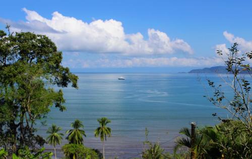 Drake Bay Bed & Breakfast | Casa Horizontes Corcovado
