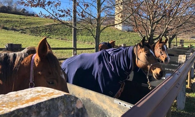 Erbezzo Apartment | Casa Isabella, Apartment in Lessinia