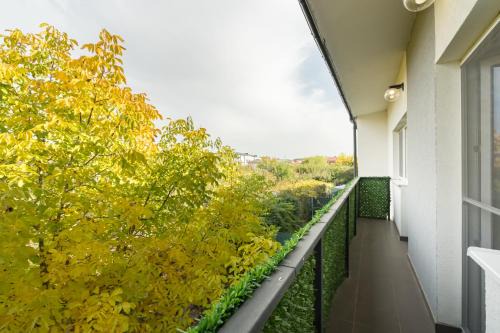 Magurele Villa | Casa Magurele 4