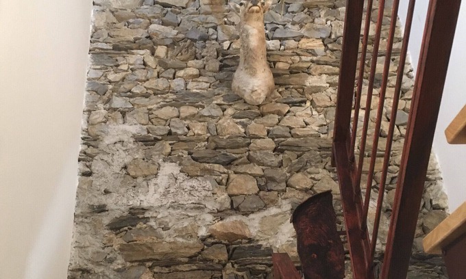 Venas di Cadore Apartment | CASA NELLA 5