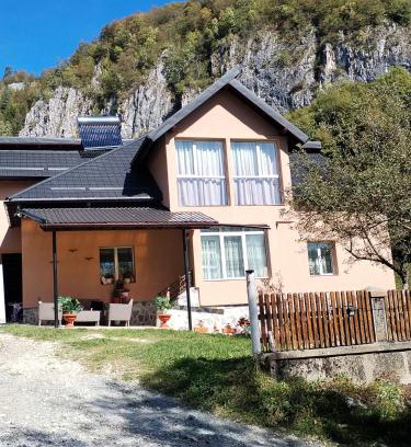 Dambovicioara House | Casa Sara