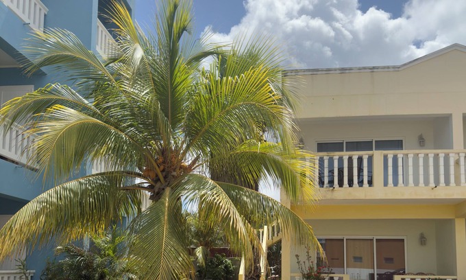 Hato Apartment | Casa Sirena – New Oceanview Near Top Dive Boats & Water Taxi ~ October 17 Avail