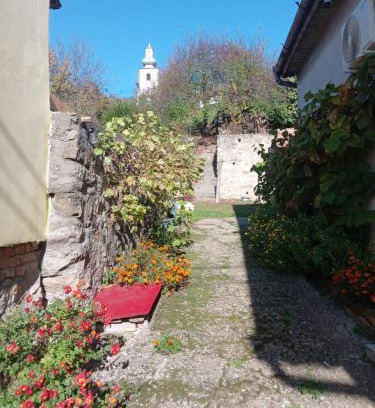 Svinita House | Casa Turcoaz