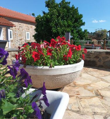 Pedrogao Grande Apartment | Casa Virginia Wellness House