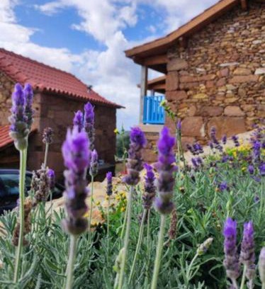 Codecoso House | Casas Coração