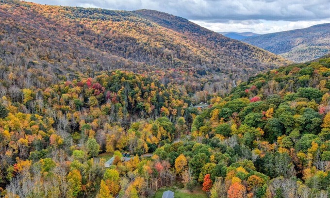Lanesville Apartment | Catskill Kaaterskill Cabin Hot Tub FirePit Sauna