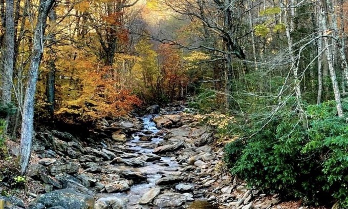 Cattail Creek Cabin | Cattail Creek, Hiking, Fishing, Creeks,Fireplace, Mtns, Scenic Views, WiFi