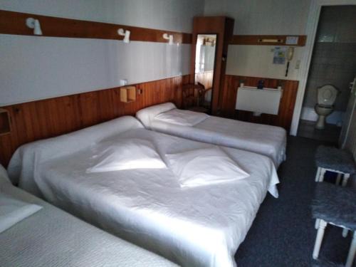 Lourdes Hotel | Chalet Saint Louis