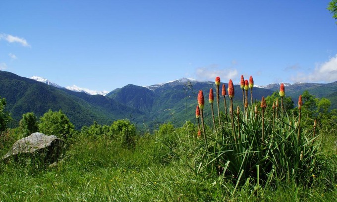 Sorgeat House | Chalets "les gentianes"