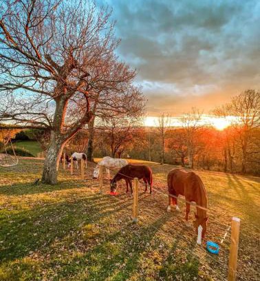 Arbus Bed & Breakfast | Chambre au cœur de la nature