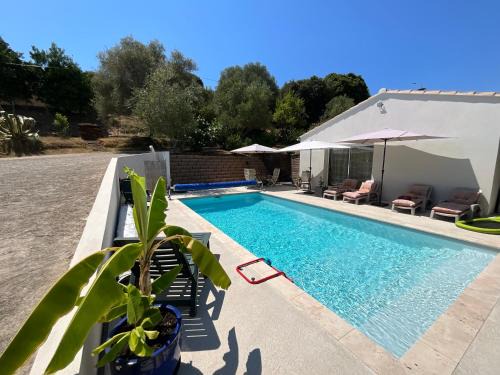 Alata Apartment | Chambre Studio Piscine Jacuzzi chez l habitant