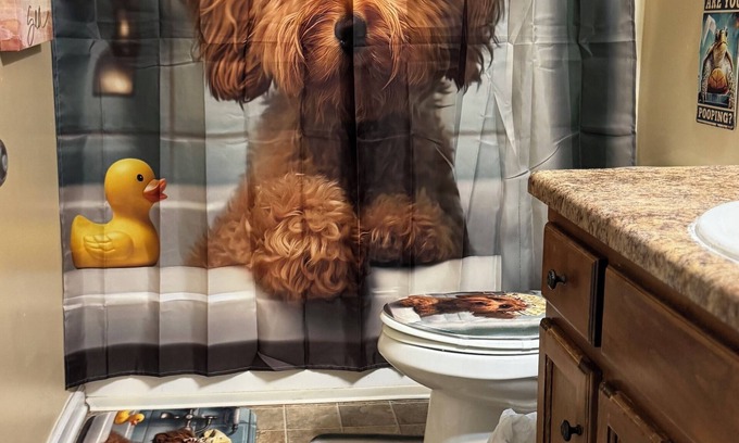 Stone County House | Charming 2bedroom, 2FULL bathroom house with AC and WiFi 10 minutes from Walmart