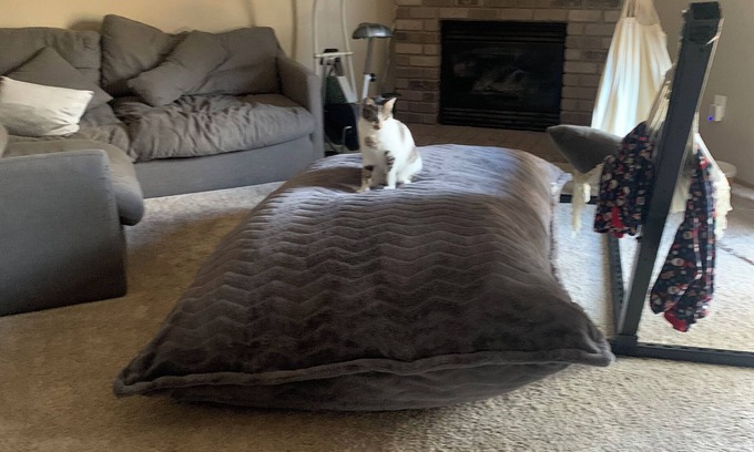 South Hill House | Charming 3-bedroom pet friendly house with hot tub, fitness room, WiFi/Puyallup