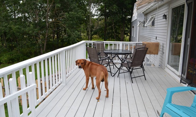 Ellsworth Cottage | Charming home/Dog Friendly/enjoy bay view & sunsets