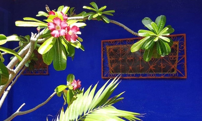 Canoa Quebrada House | Charming little house in a tropical garden, fast wi-fi, perfect for remote work