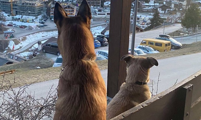 Noes Apartment | Charming renovated apartment with south-facing terrace