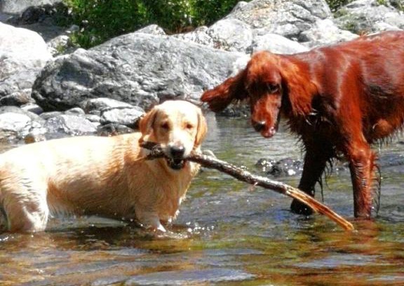 Arenzano Apartment | Chez Christine 2