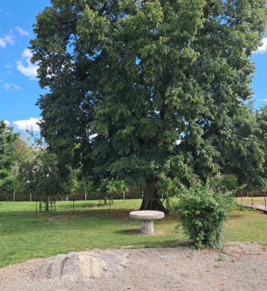 Pont-d'Ouilly House | chez Denis