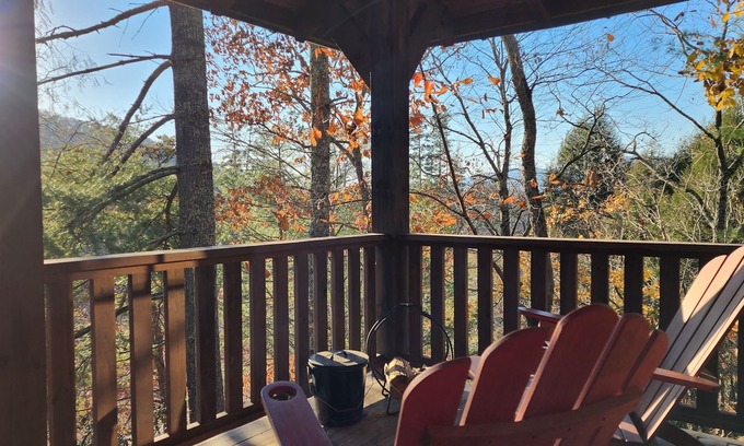 Cheshire Cabin | Chickadee’s Hatch | 2-Story Cabin w/Jetted Tub + Biltmore Pass