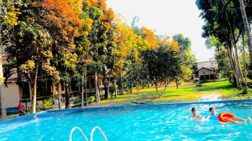 Sauraha Resort | Chitwan Forest Resort , Chitwan National Park