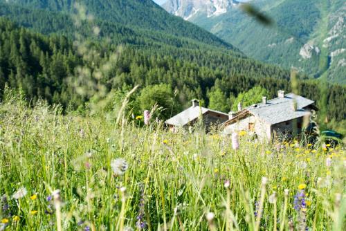 Marmora Ski Chalet | Civico 2