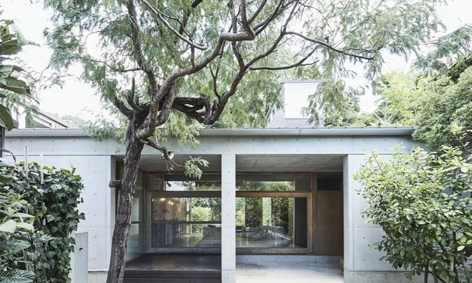 Nara House | Close to Todaiji Temple Private mansion with saun/Nara Nara