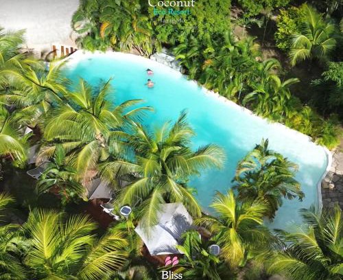 Morales Resort | COCONUT TARAPOTO - ECO RESORT