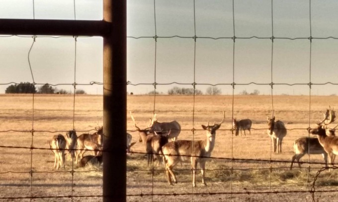 Adair House | Come experience the country!